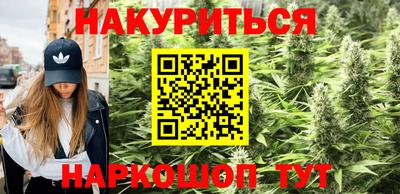 трава Кингисепп