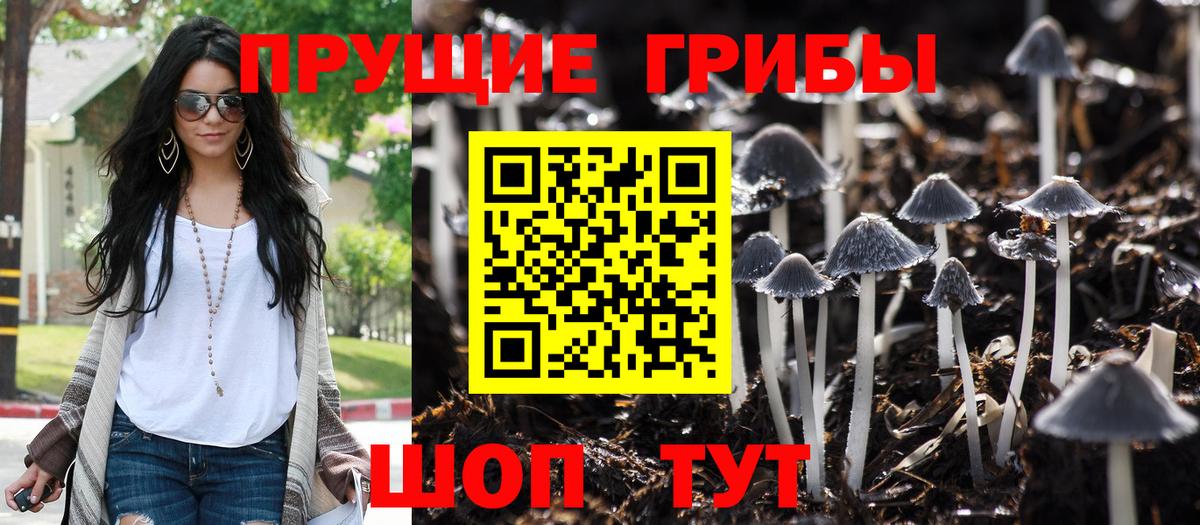 Псилоцибиновые грибы прущие грибы Учалы
